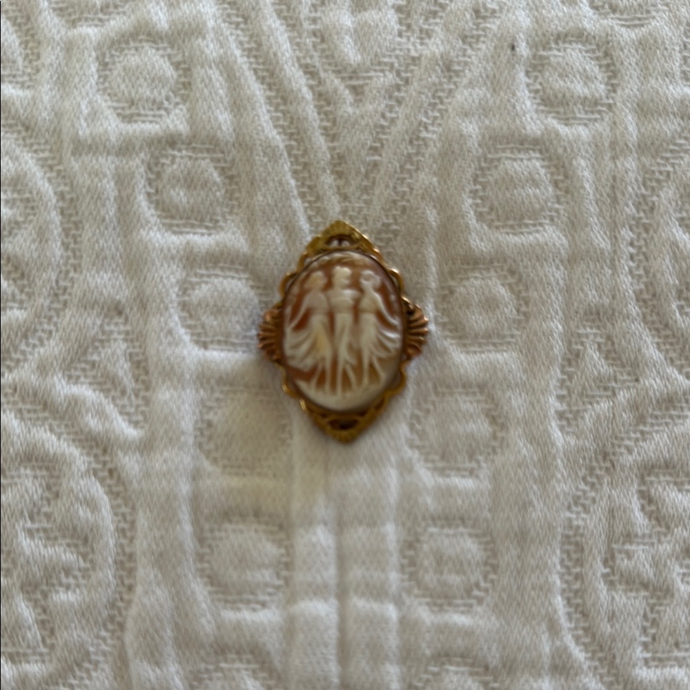 Elegant Gold and Cream Cameo Brooch